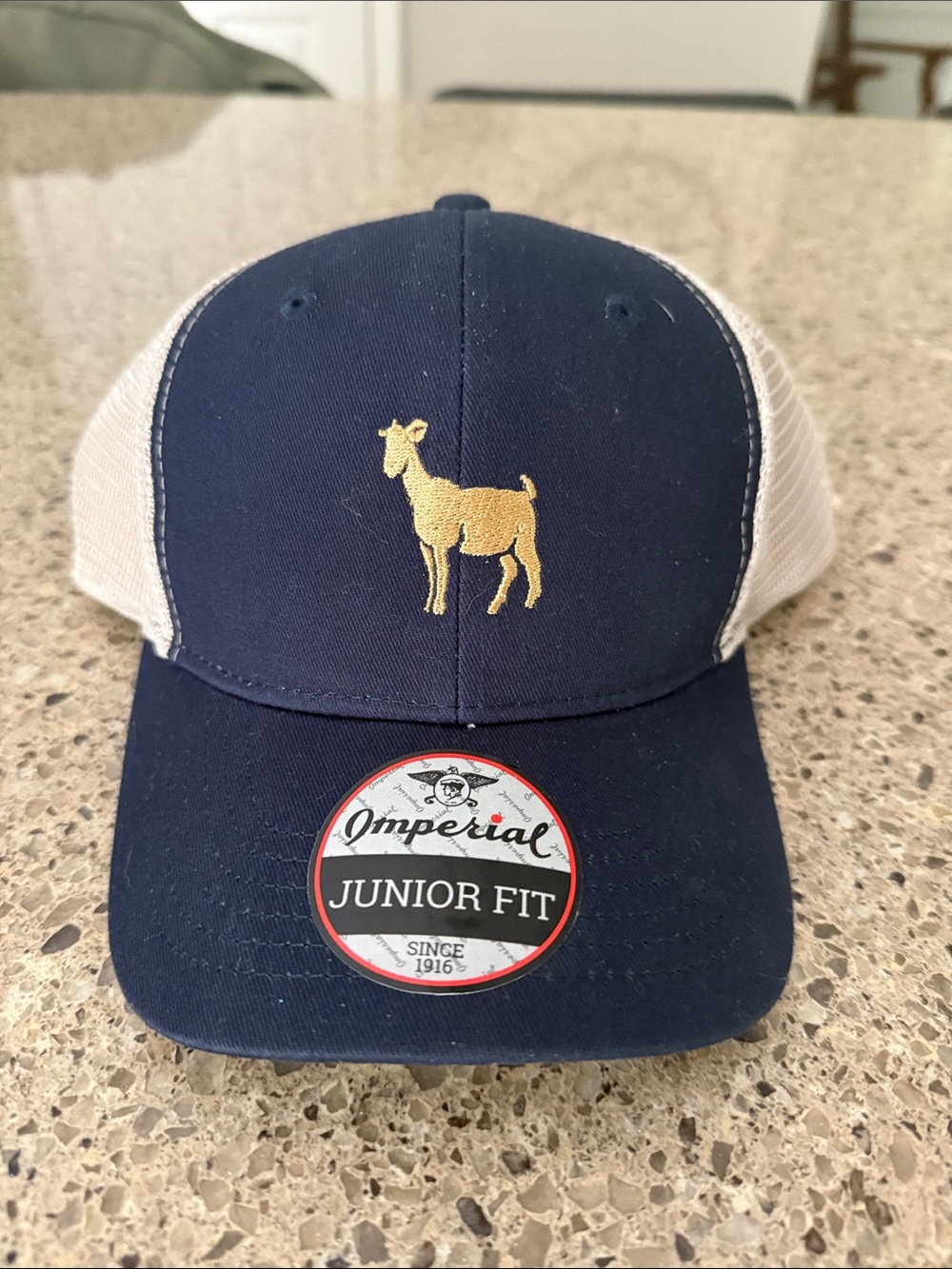 Imperial Junior Fit Navy 2026 players championship baseball cap